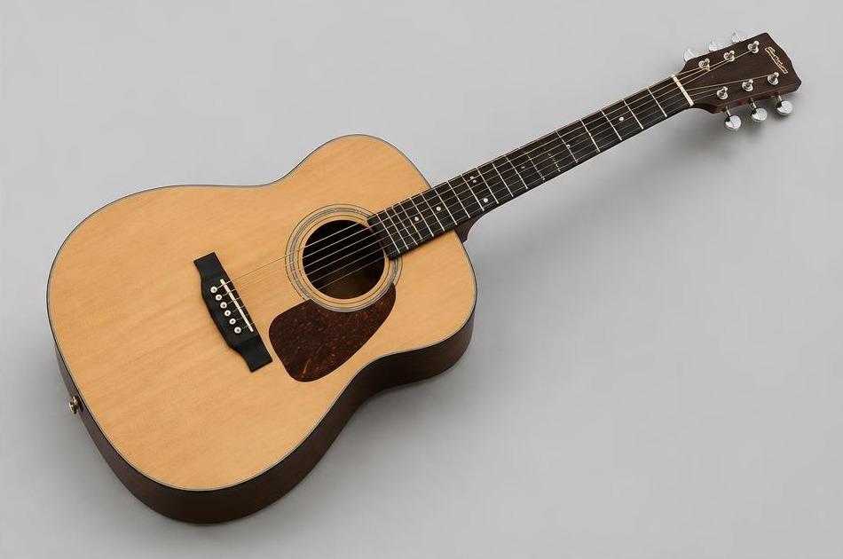 Illustrative guitar instrument photo